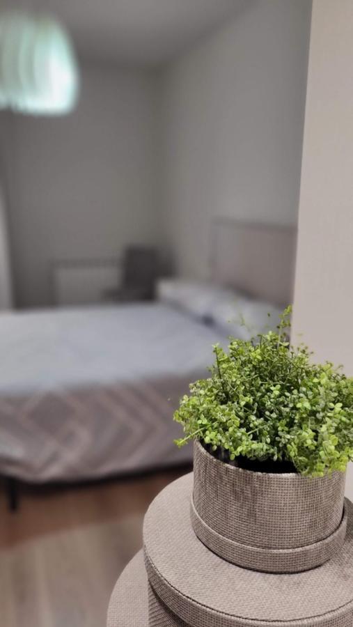 Apartamento Palacio De Los Toledo Corella Exteriör bild